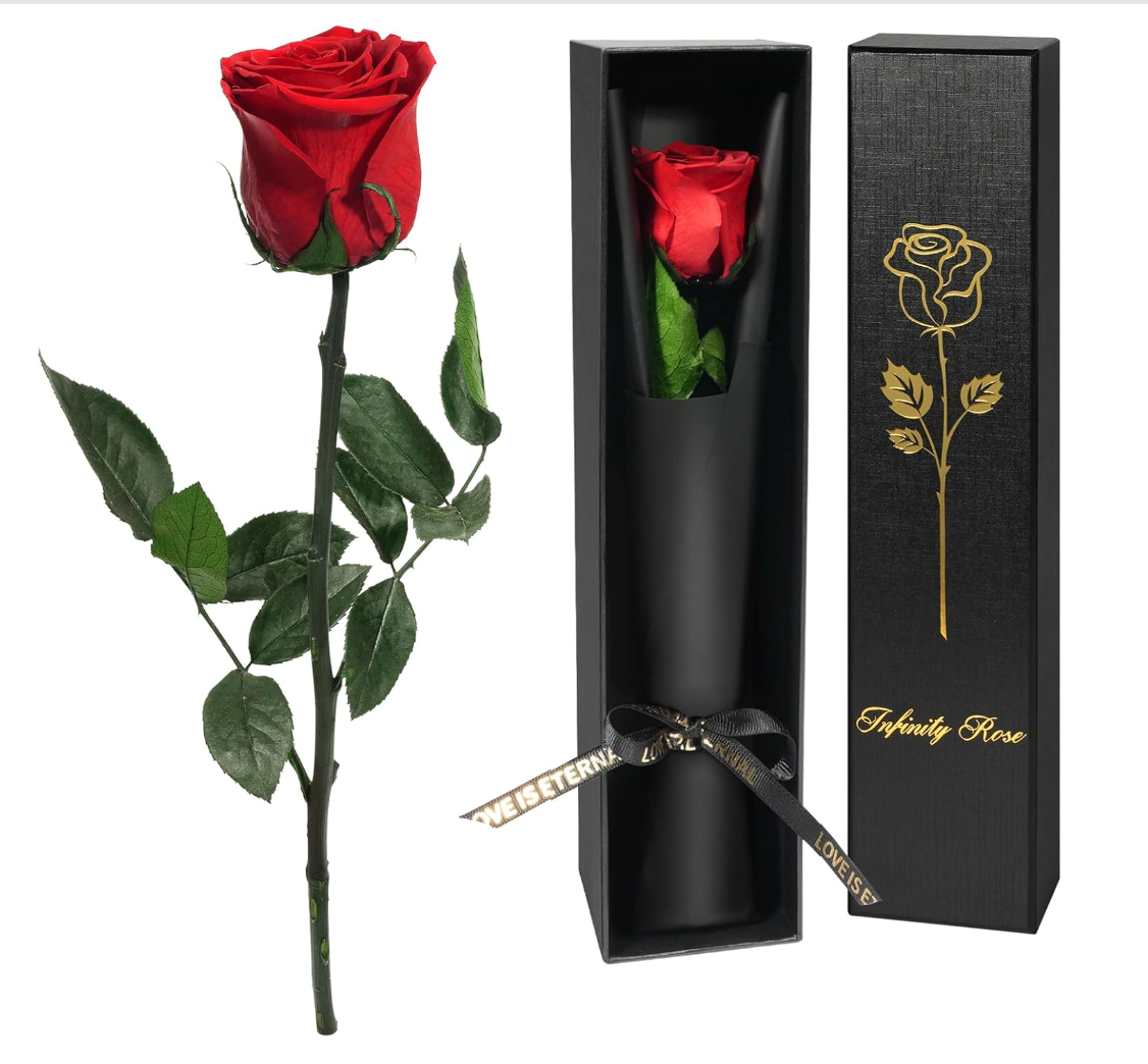 Hot Chocolate Gift Set: Gourmet Escape & Sweetness